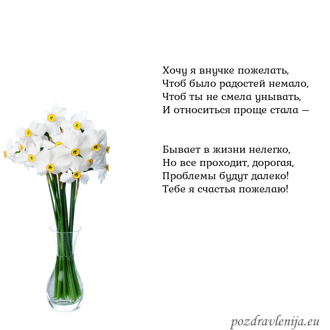 Открытка с нарциссами