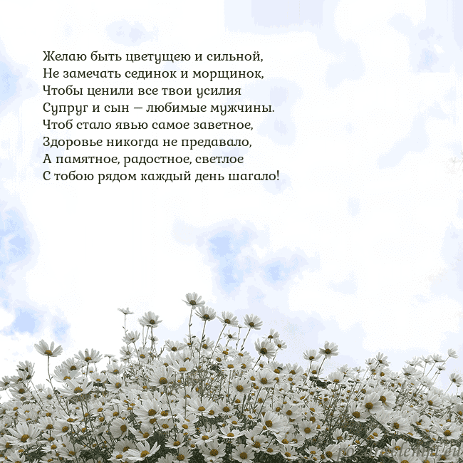 Открытка с ромашками