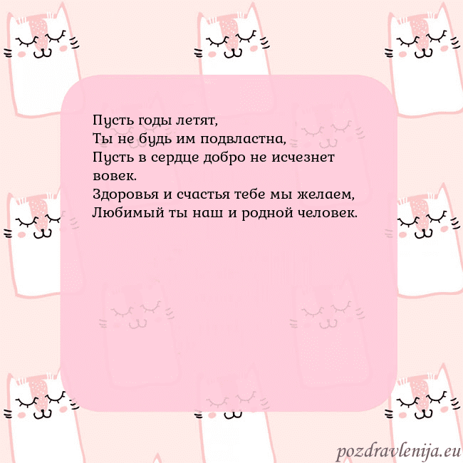 Розовая открытка с забавными кошками