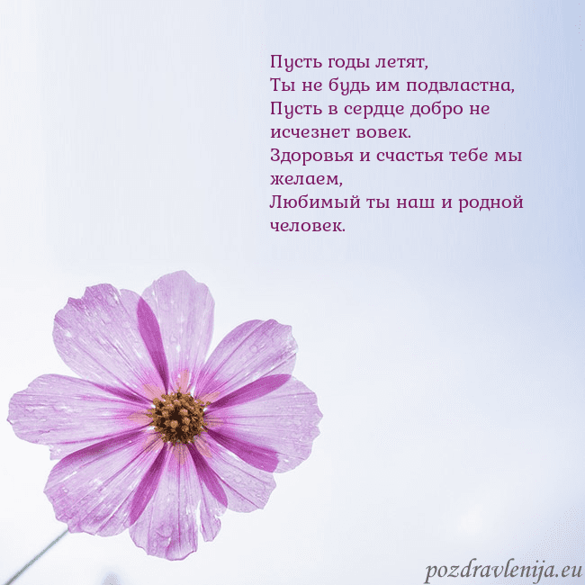 Электронная открытка с фиолетовым цветком