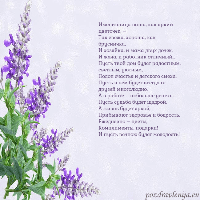 Открытка с люпинами