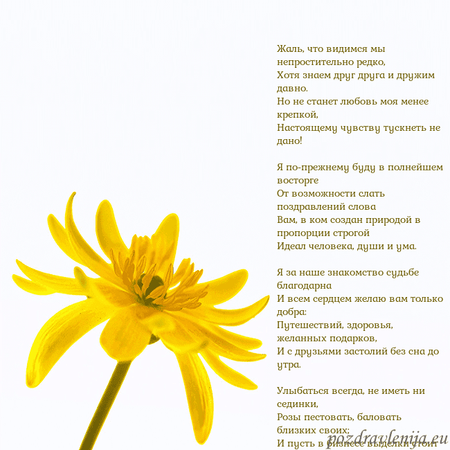 Открытка с желтым цветком Жаль, что видимся мы непростительно редко,
Хотя зн Открытка с желтым цветком