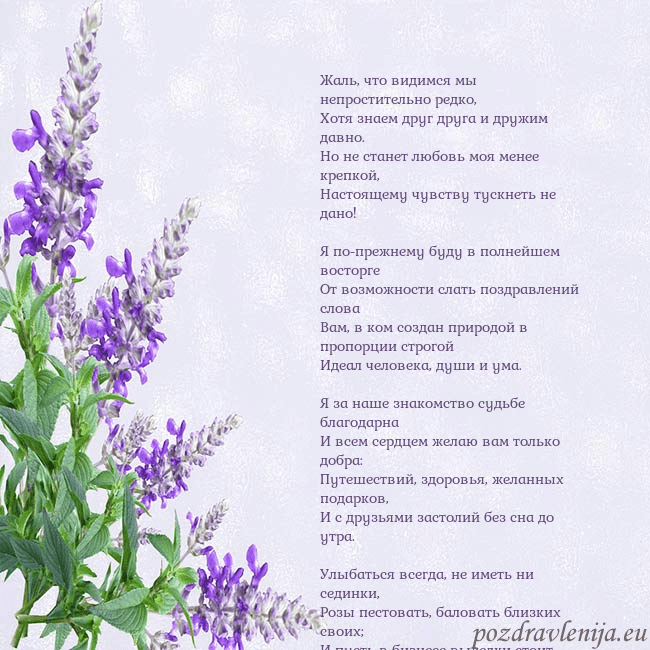 Открытка с люпинами Жаль, что видимся мы непростительно редко,
Хотя зн Открытка с люпинами