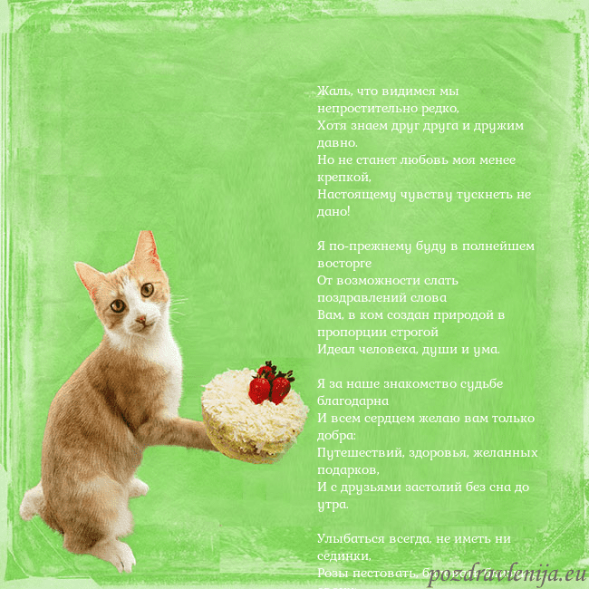 Забавная открытка на день рождения с кошкой и тортом Жаль, что видимся мы непростительно редко,
Хотя зн Забавная открытка на день рождения с кошкой и тортом