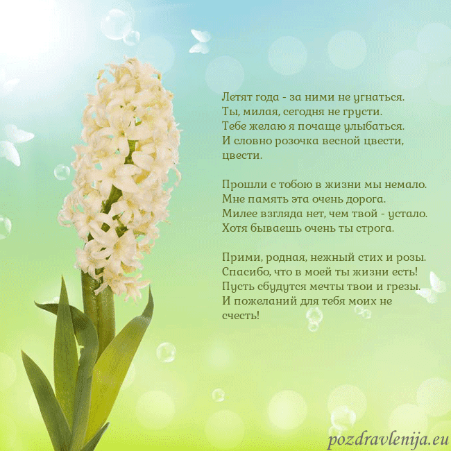 Открытка с гиацинтом