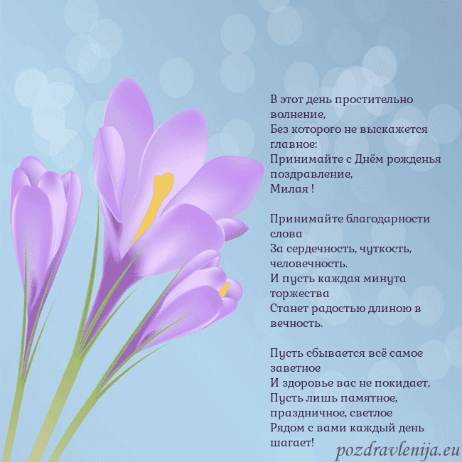 Открытка с крокусом