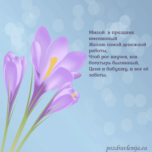 Открытка с крокусом