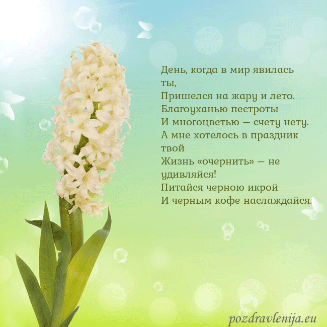 Открытка с гиацинтом