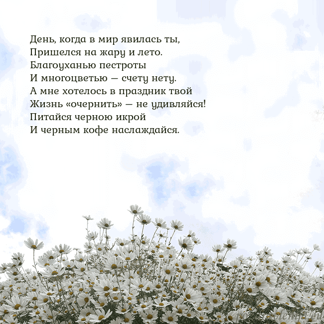 Открытка с ромашками