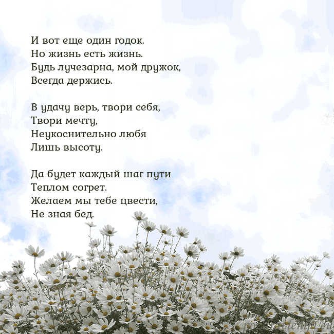 Открытка с ромашками