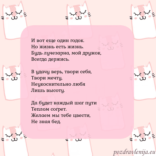 Розовая открытка с забавными кошками