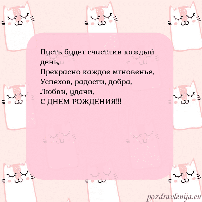 Розовая открытка с забавными кошками