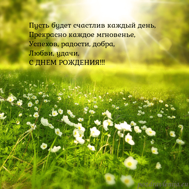 Электронная открытка с утопающим в солнечном свете лугом