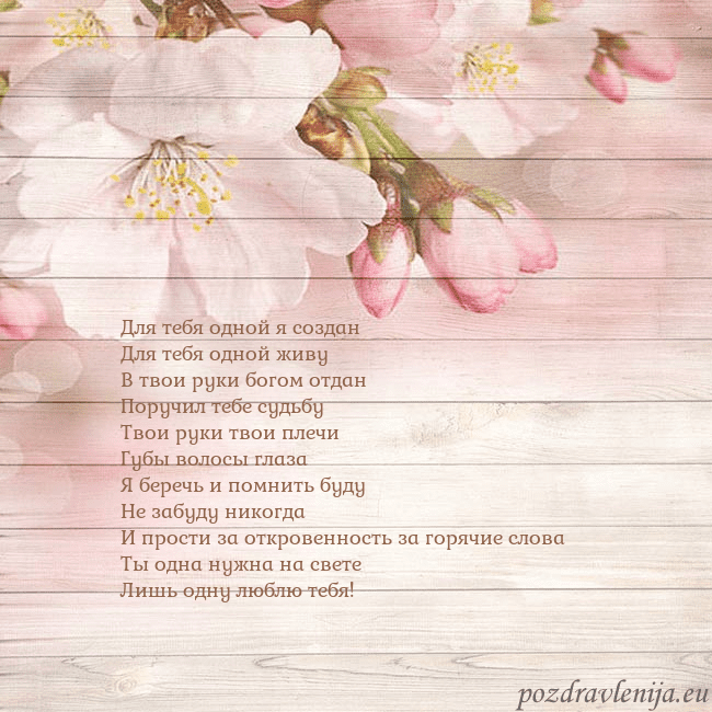 Открытка с цветами яблони