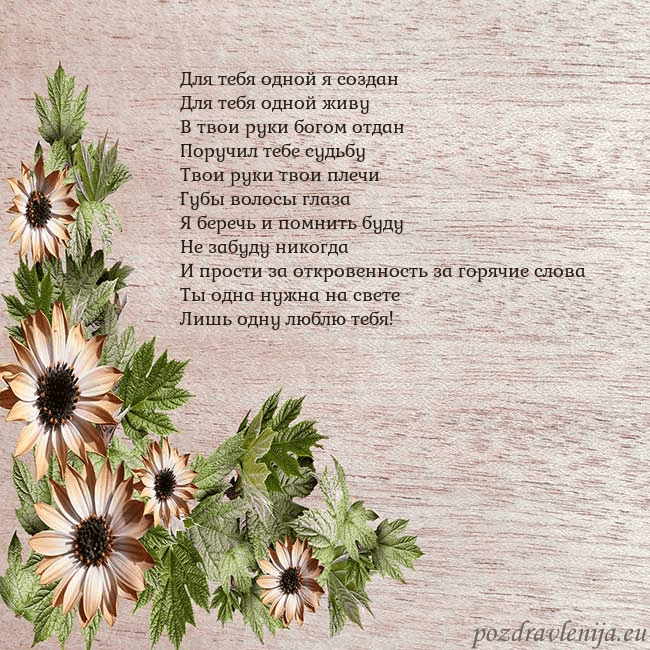 Уютная открытка с цветами