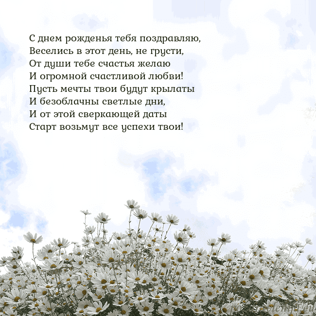Открытка с ромашками