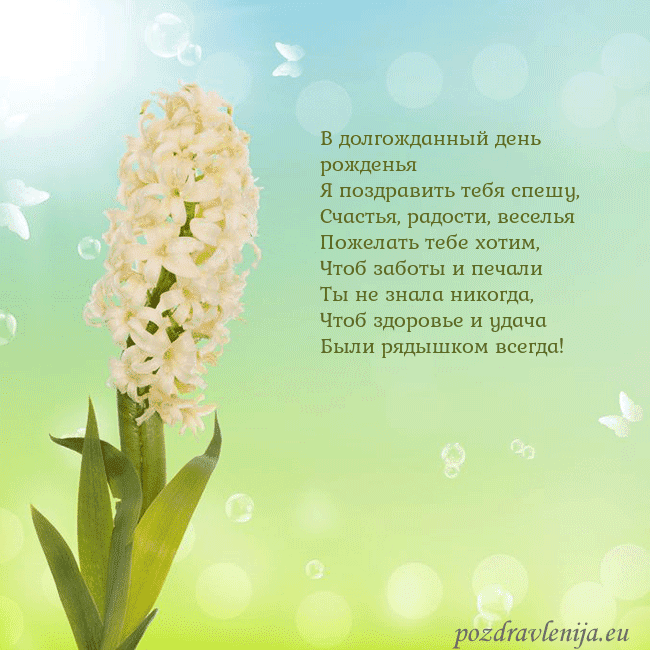 Открытка с гиацинтом