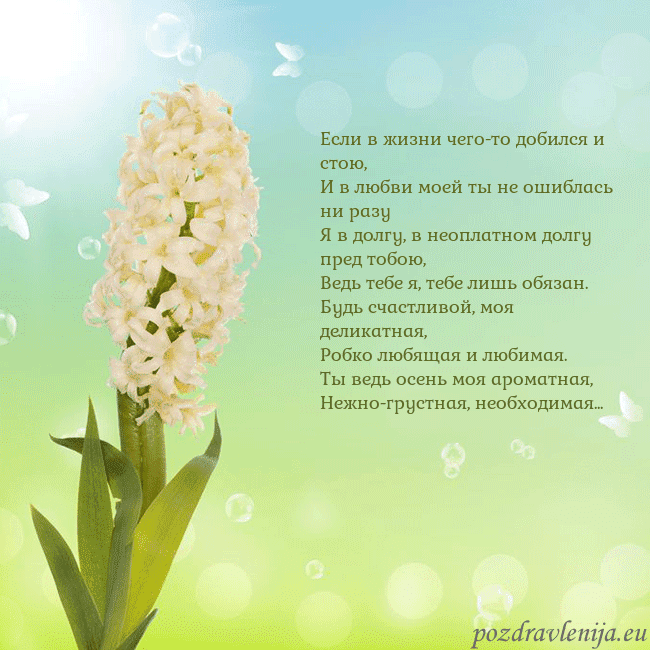 Открытка с гиацинтом