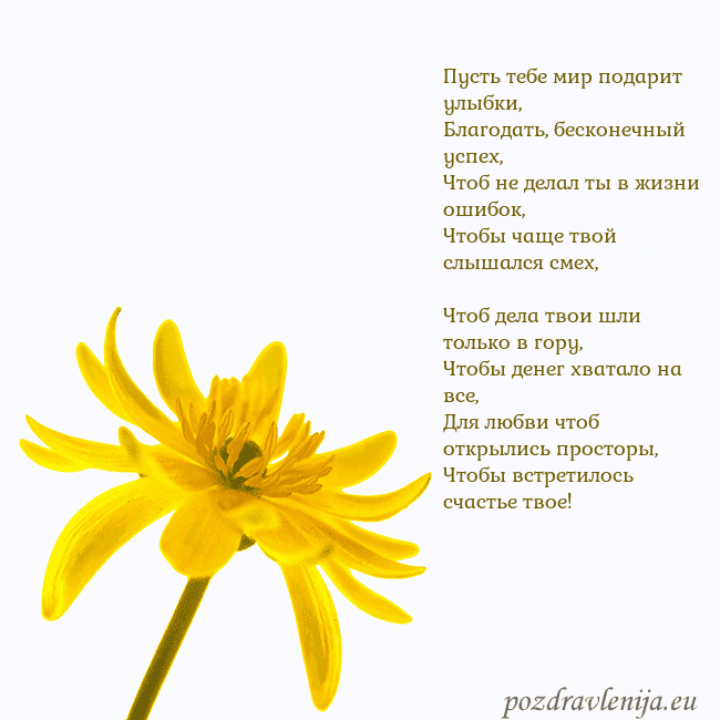 Открытка с желтым цветком