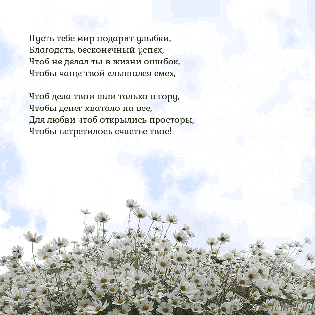 Открытка с ромашками