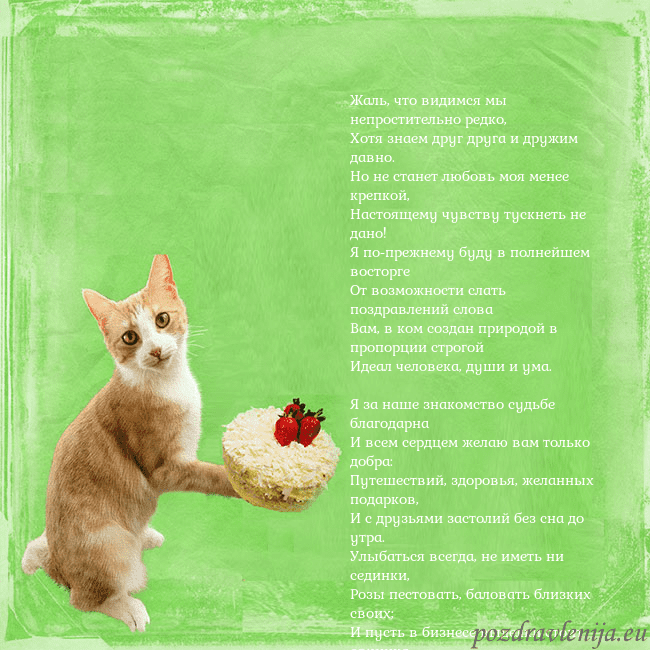 Забавная открытка на день рождения с кошкой и тортом Жаль, что видимся мы непростительно редко,
Хотя зн Забавная открытка на день рождения с кошкой и тортом