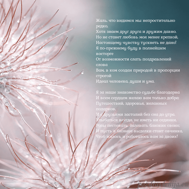 Открытка с пушистыми растениями Жаль, что видимся мы непростительно редко,
Хотя зн Открытка с пушистыми растениями