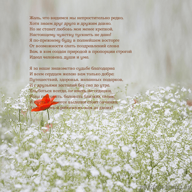 Электронная открытка с белыми цветами Жаль, что видимся мы непростительно редко,
Хотя зн Электронная открытка с белыми цветами