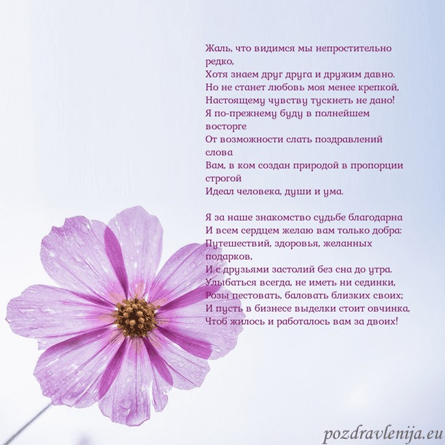 Электронная открытка с фиолетовым цветком Жаль, что видимся мы непростительно редко,
Хотя зн Электронная открытка с фиолетовым цветком