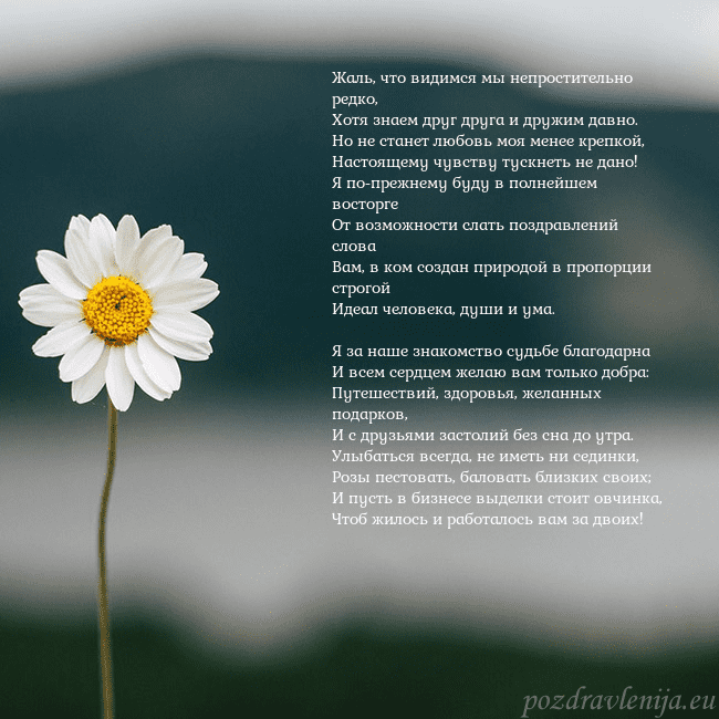 Электронная открытка с ромашкой Жаль, что видимся мы непростительно редко,
Хотя зн Электронная открытка с ромашкой