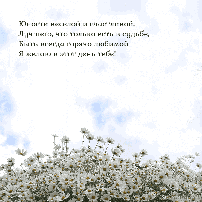 Открытка с ромашками