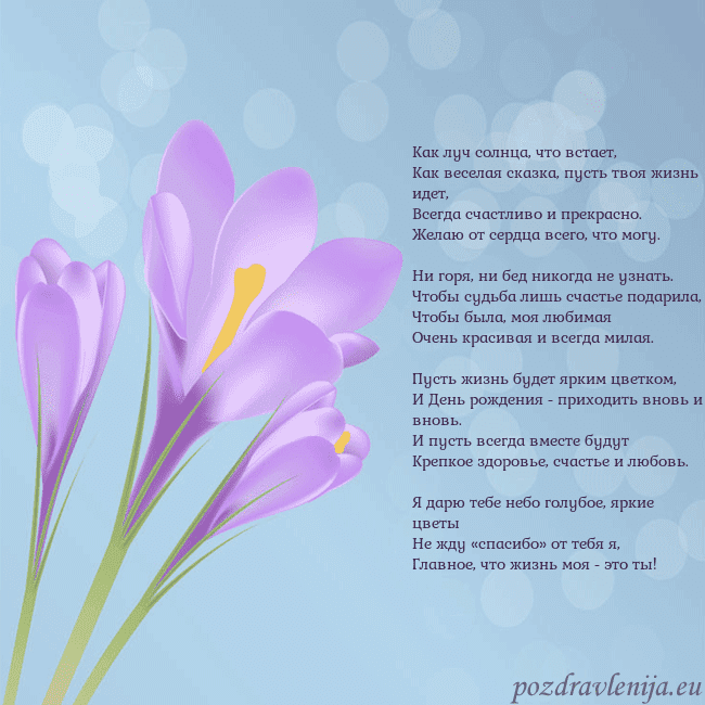 Открытка с крокусом