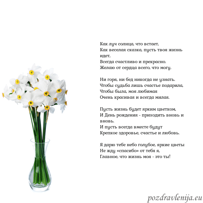 Открытка с нарциссами