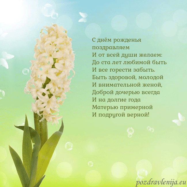 Открытка с гиацинтом