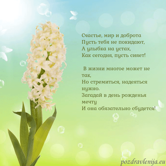 Открытка с гиацинтом