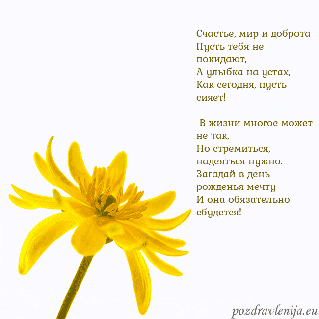 Открытка с желтым цветком