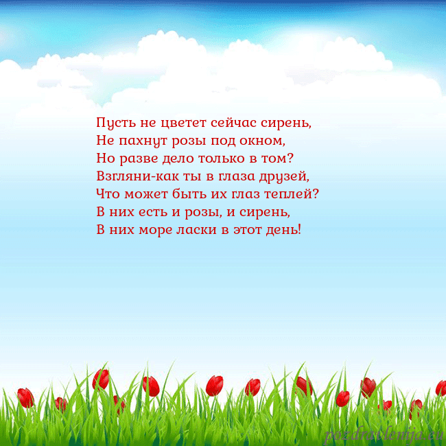 Открытка с тюльпанами