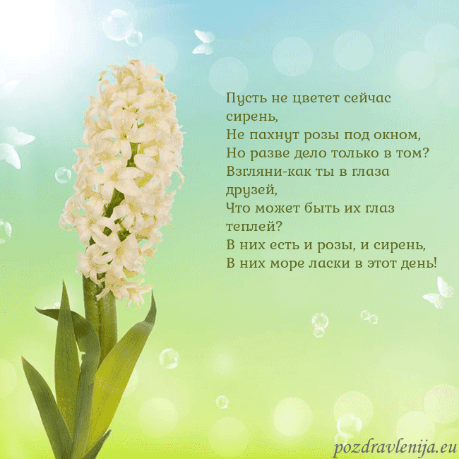 Открытка с гиацинтом