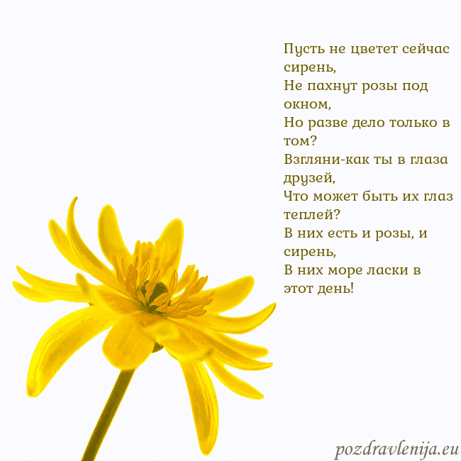Открытка с желтым цветком