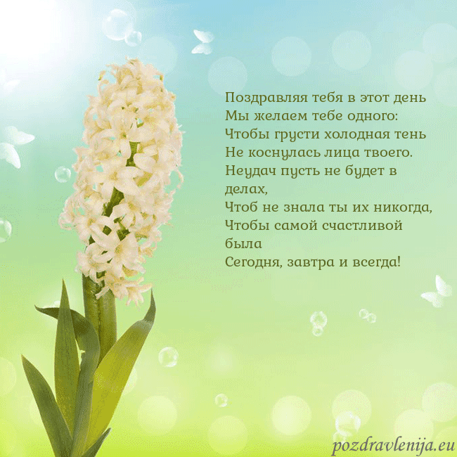 Открытка с гиацинтом