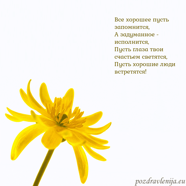 Открытка с желтым цветком