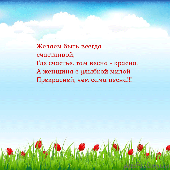 Открытка с тюльпанами