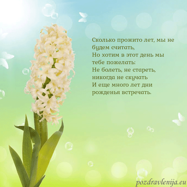 Открытка с гиацинтом