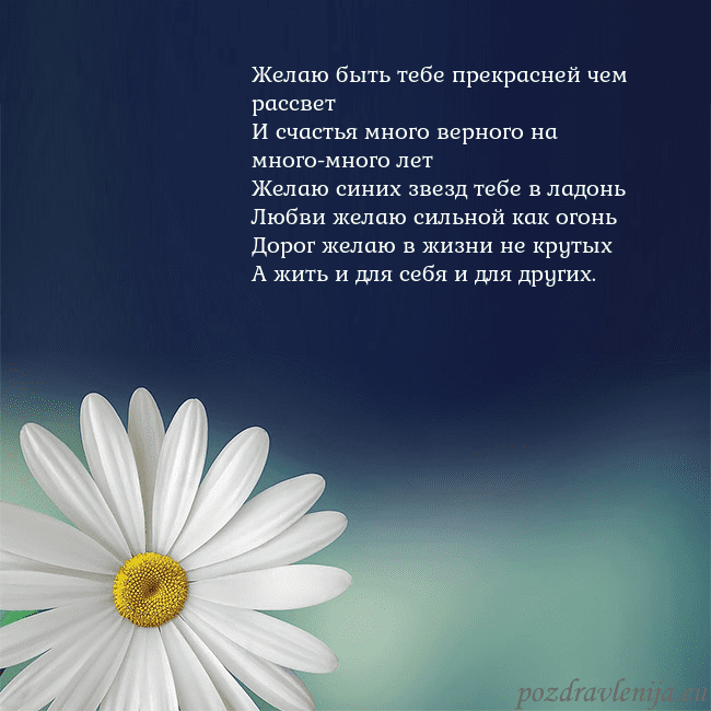 Открытка с большой ромашкой