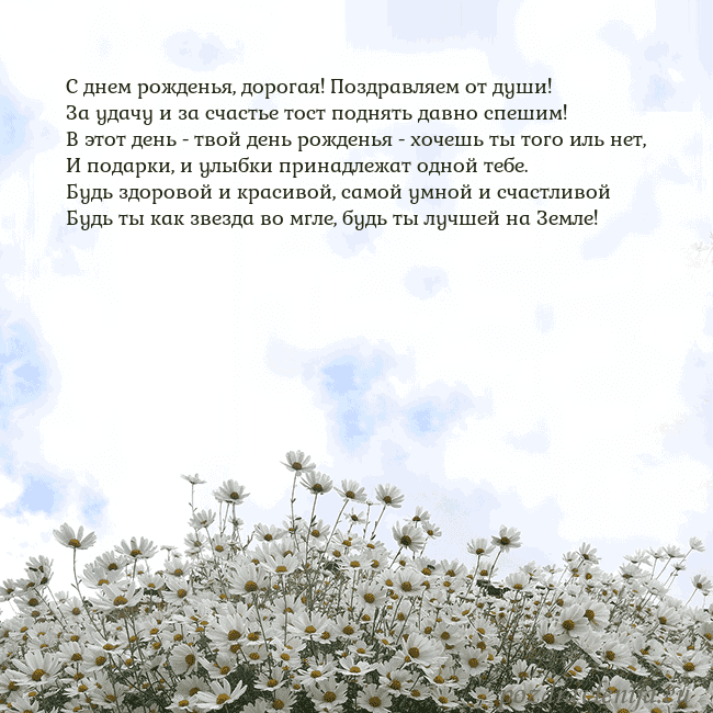 Открытка с ромашками