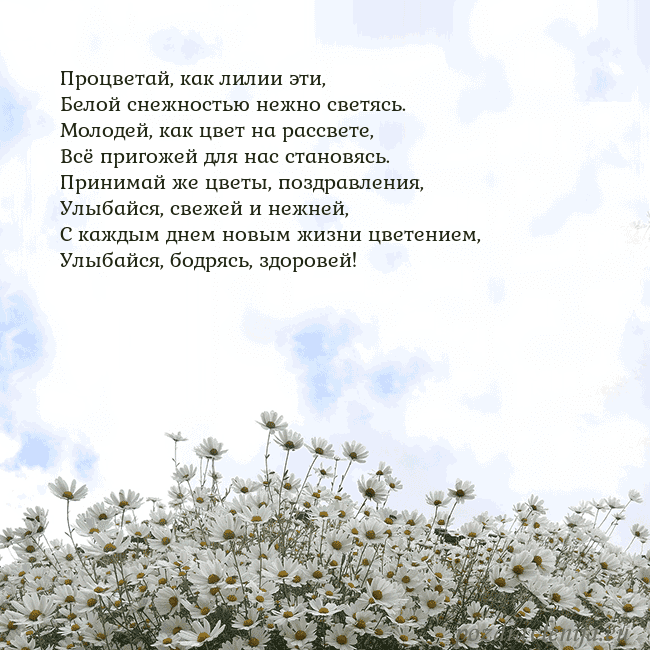 Открытка с ромашками