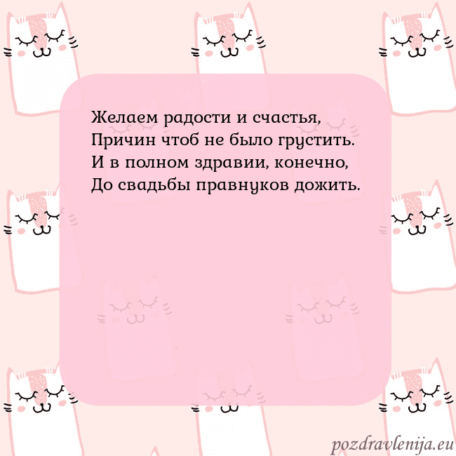 Розовая открытка с забавными кошками