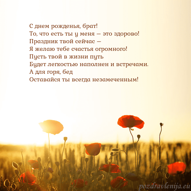 Электронная открытка с полем маков