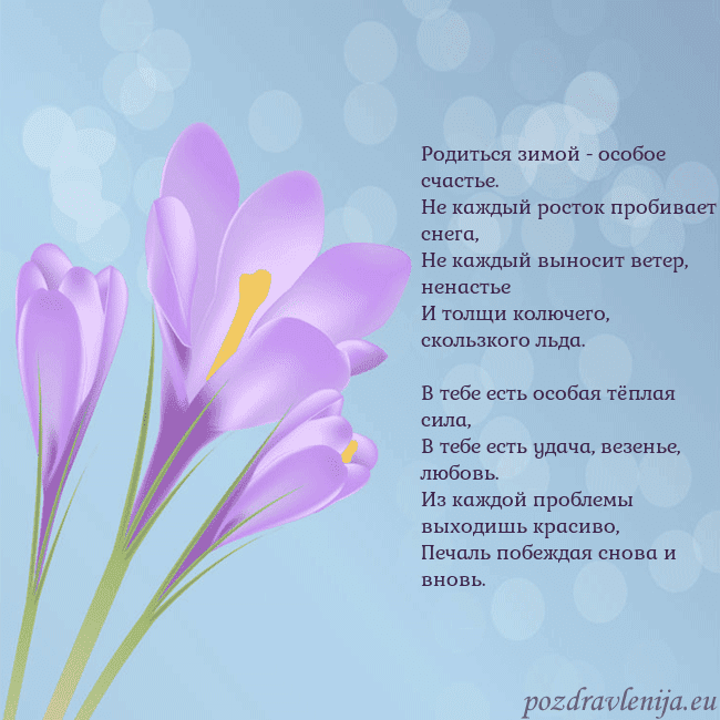 Открытка с крокусом
