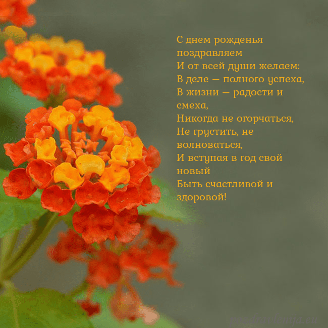 Открытка с оранжевыми цветами