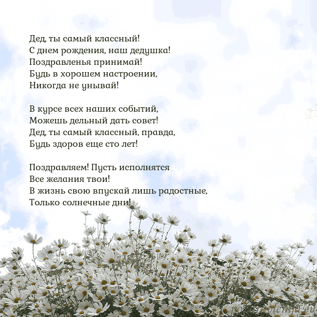 Открытка с ромашками